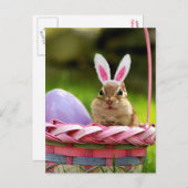 ハッピーイースターリトルチムンク シーズンポストカード (正面/裏面)