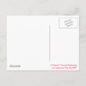 ハッピーイースターリトルチムンク シーズンポストカード (裏面)