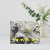 ハッピーイースターリリー葉書 シーズンポストカード (スタンド正面)