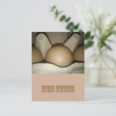 ハッピーイースター卵をカートンカードに シーズンポストカード (スタンド正面)