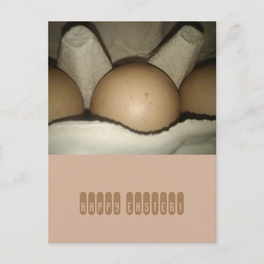 ハッピーイースター卵をカートンカードに シーズンポストカード (正面)