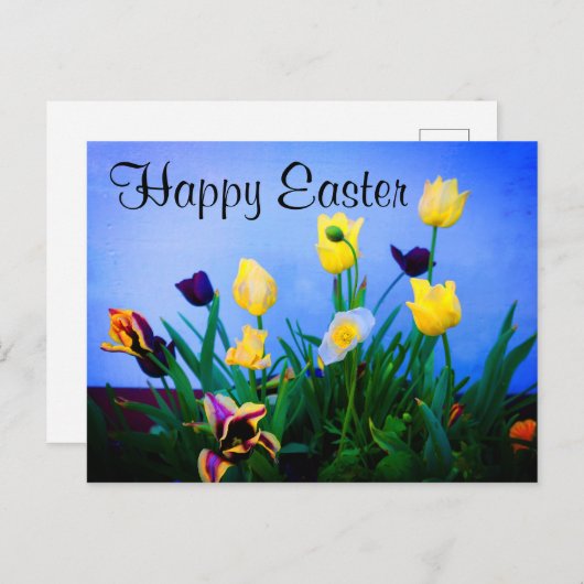 ハッピーイースター各種チューリップ#2はがき ポストカード (正面/裏面)