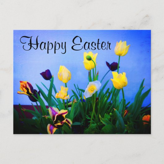 ハッピーイースター各種チューリップ#2はがき ポストカード (正面)