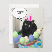 ハッピーイースター子猫 シーズンポストカード (正面/裏面)