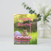 ハッピーイースター少しシマリス2 シーズンポストカード (スタンド正面)