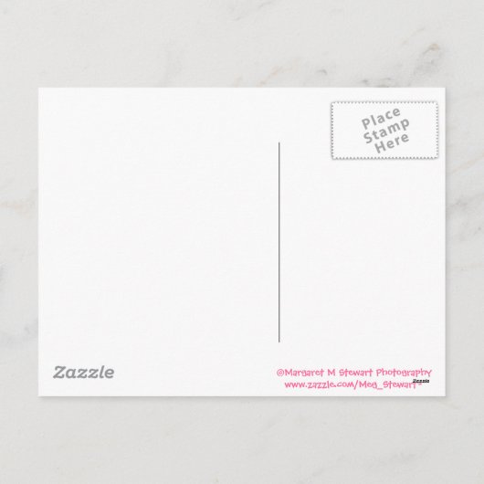 ハッピーイースター少しシマリス2 シーズンポストカード (裏面)