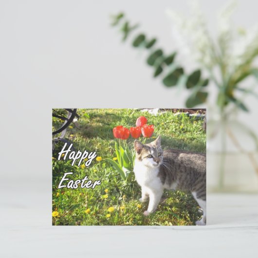 ハッピーイースター猫はがき シーズンポストカード (スタンド正面)