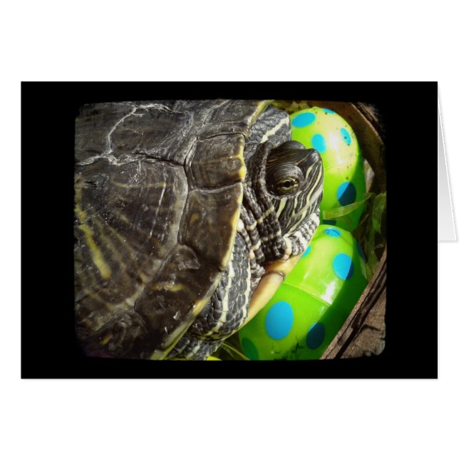 ハッピーイースター (正面横)