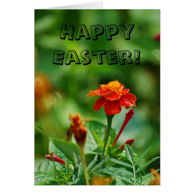 ハッピーイースター! (正面)