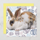 ハッピーイースター – イースターエッグ – バニーフォトカード シーズンカード (正面/裏面)