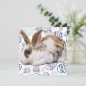 ハッピーイースター – イースターエッグ – バニーフォトカード シーズンカード (スタンド正面)