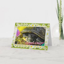 ハッピーイースター シーズンカード