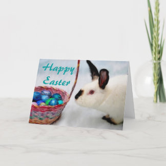 ハッピーイースター                       … シーズンカード