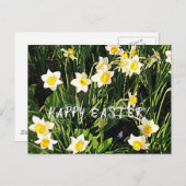 ハッピーイースター シーズンポストカード (正面/裏面)