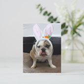 ハッピーイースター シーズンポストカード (スタンド正面)