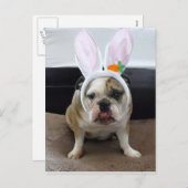 ハッピーイースター シーズンポストカード (正面/裏面)