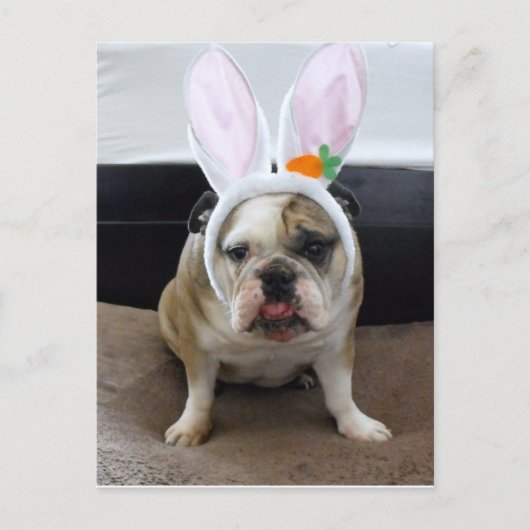 ハッピーイースター シーズンポストカード (正面)