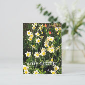 ハッピーイースター シーズンポストカード (スタンド正面)