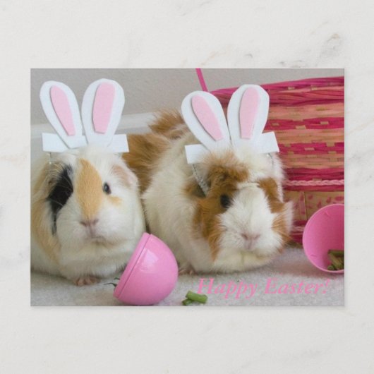 ハッピーイースター シーズンポストカード (正面)