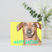 ハッピーイースター! シーズンポストカード (スタンド正面)