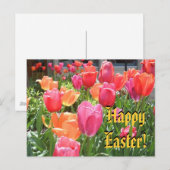 ハッピーイースター! シーズンポストカード (正面/裏面)