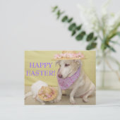 ハッピーイースター! シーズンポストカード (スタンド正面)
