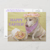 ハッピーイースター! シーズンポストカード (正面/裏面)