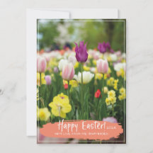 「ハッピーイースター」チューリップ花場春写真
