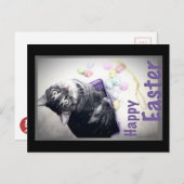 ハッピーイースター-子猫-郵便はがき シーズンポストカード (正面/裏面)