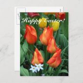 ハッピーイースター、彼は立ち上がった！ シーズンポストカード (正面/裏面)