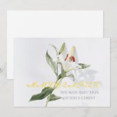 ハッピーイースター.lily シーズンカード (正面/裏面)