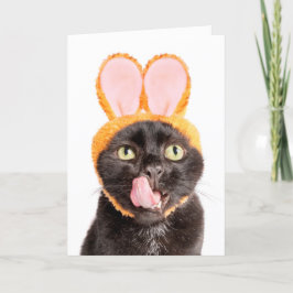 ハッピーイースターFor Anyone Cat in Bunny Ears Licking シーズンカード