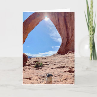 ハッピーエクセテーションドッグカード | Lily the Pug カード