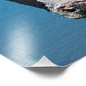 ハッピーカウーポートレート フォトプリント (角)