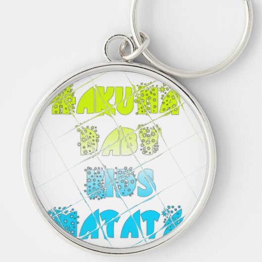 ハッピーカラーズハクナマタタハクナマタギフトスターズ キーホルダー (正面)