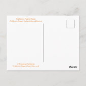 ハッピーカリフォルニアのポピー・ウィーク！ポストカード ポストカード (裏面)