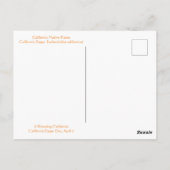 ハッピーカリフォルニアポピーの日！ ポストカード (裏面)