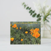 ハッピーカリフォルニアポピーの日！ ポストカード (スタンド正面)
