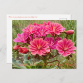 ハッピーカリフォルニア先住民植物週間！ポストカード ポストカード (正面/裏面)