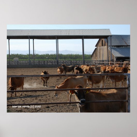 ハッピーカリフォルニア牛 ポスター (正面)