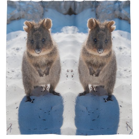 ハッピーカワイトクカオンザオーストラリアビーチ シャワーカーテン (正面)