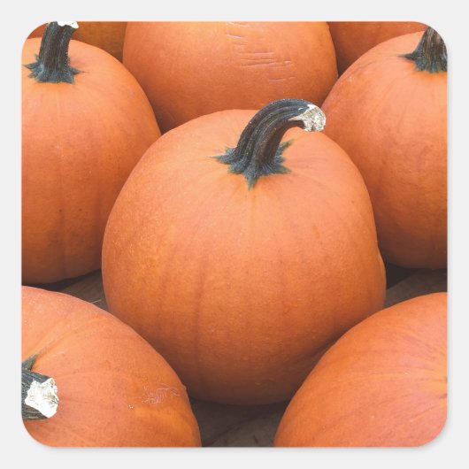 ハッピーカービング スクエアシール (正面)