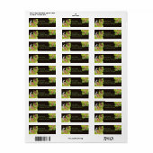 ハッピーガーデンカタツムリ ラベル (フルシート)