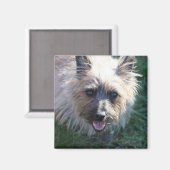 ハッピーガールマグネット マグネット (正面/裏面)