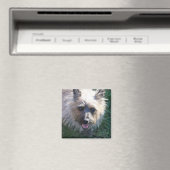 ハッピーガールマグネット マグネット (インサイチュ (食洗機))