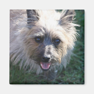 ハッピーガールマグネット マグネット