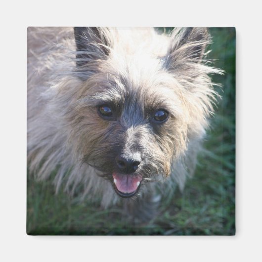 ハッピーガールマグネット マグネット (正面)