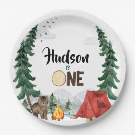 ハッピーキャンパー紙プレート ペーパープレート