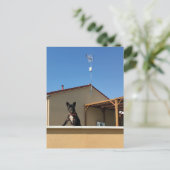 ハッピーキュートフランスのブルドッグ葉書 ポストカード (スタンド正面)