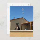 ハッピーキュートフランスのブルドッグ葉書 ポストカード (正面/裏面)